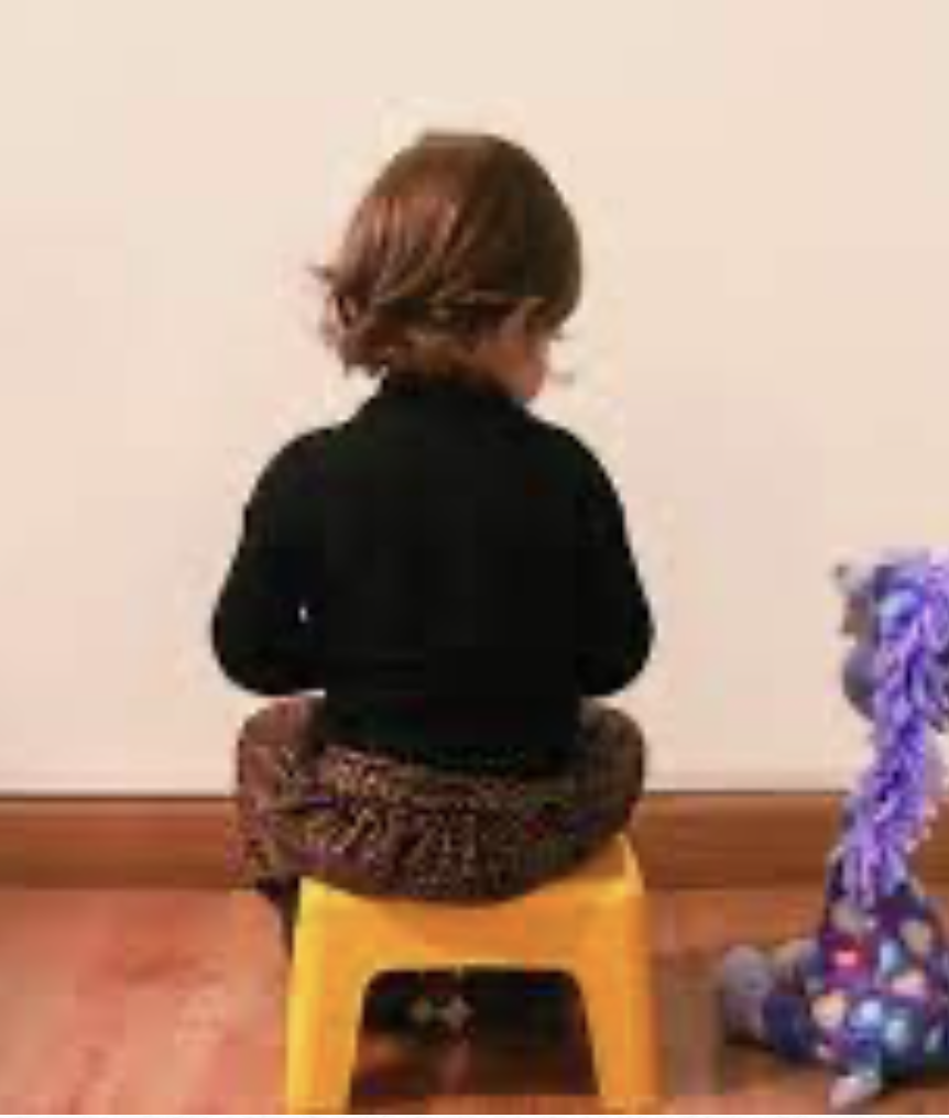 Pausa dirigida